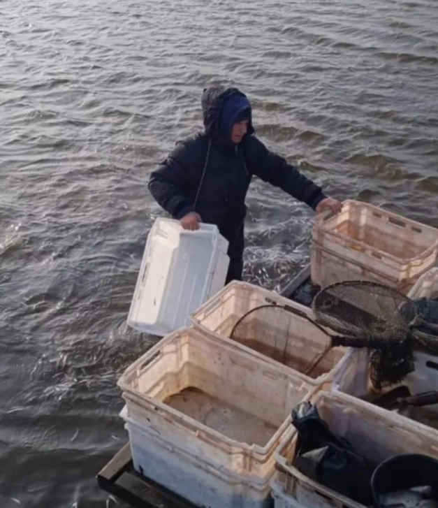 В реке Днепр посреди зимы на берегу обнаружили мертвую рыбу: видео инцидента